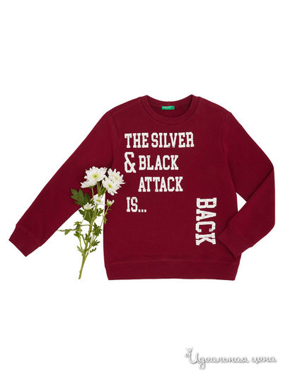 Свитшот United Colors Of Benetton, цвет бордовый