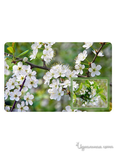 Салфетка Дикая вишня, 39*25 см Мультидом, цвет в ассортименте