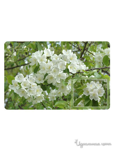 Салфетка Цветущая яблоня, 28*44 см Мультидом, цвет в ассортименте