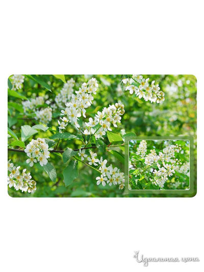 Салфетка Черёмуха, 39*25 см Мультидом, цвет в ассортименте