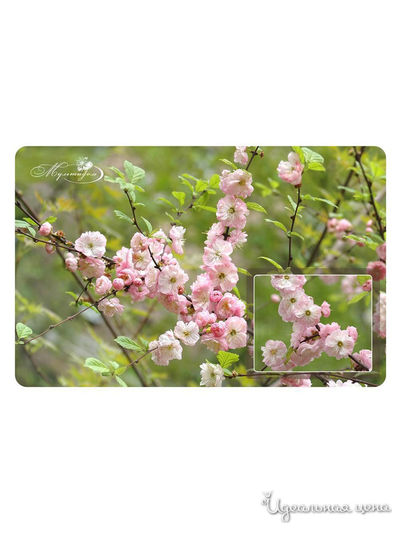 Салфетка Цветущий персик, 28*44 см Мультидом, цвет в ассортименте
