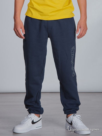 Брюки Quiksilver, цвет синий