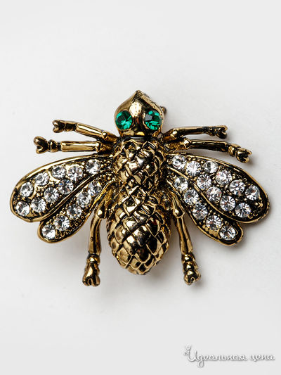 Брошь CESARE CONTE, цвет бронзовый