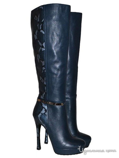 Сапоги SPRINGWAY, цвет синий