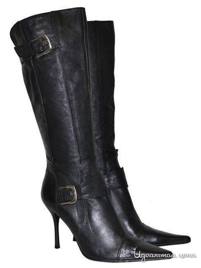 Сапоги SPRINGWAY, цвет черный