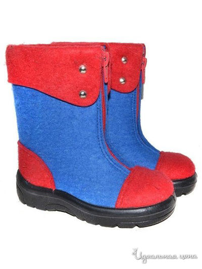 Сапоги STEPOLINI, цвет синий