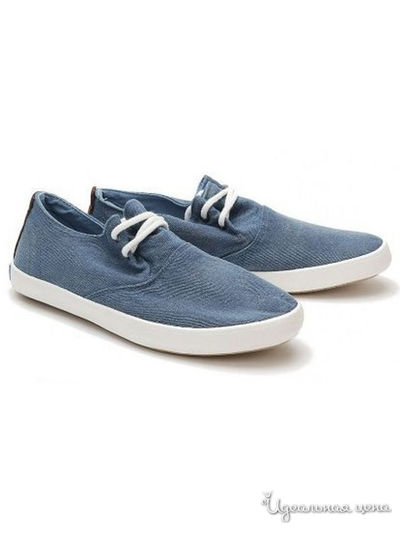 Кеды KEDDO, цвет голубой