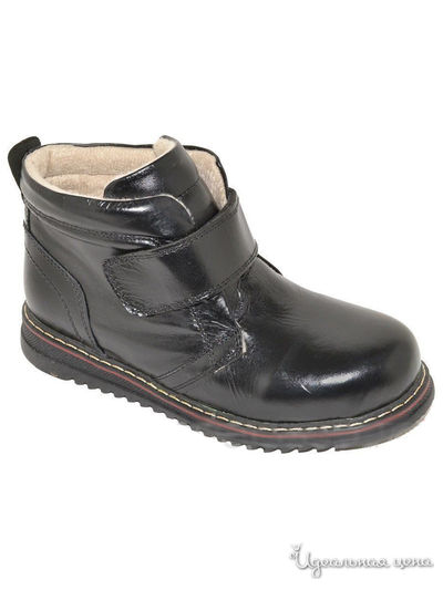 Ботинки Black Tavern, цвет черный