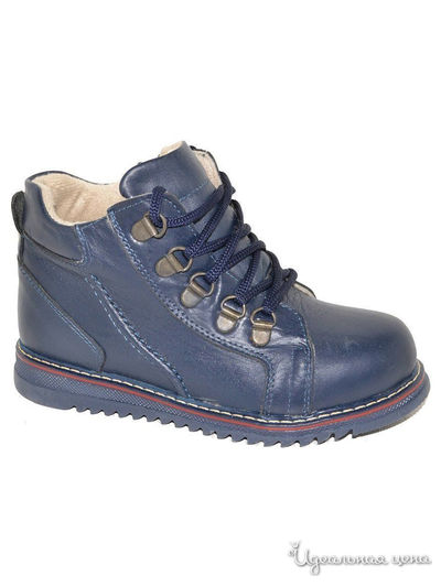 Ботинки Black Tavern, цвет темно-синий