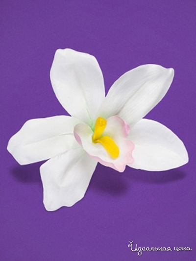 Заколка Infinity Lingerie, цвет сиреневый