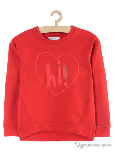 Толстовка 5.10.15, цвет красный