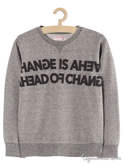 Толстовка 5.10.15, цвет серый