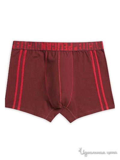 Трусы-шорты Pelican, цвет бордовый