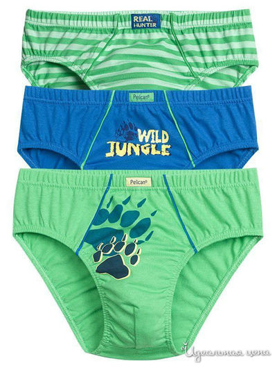 Трусы Pelican, цвет зеленый, синий