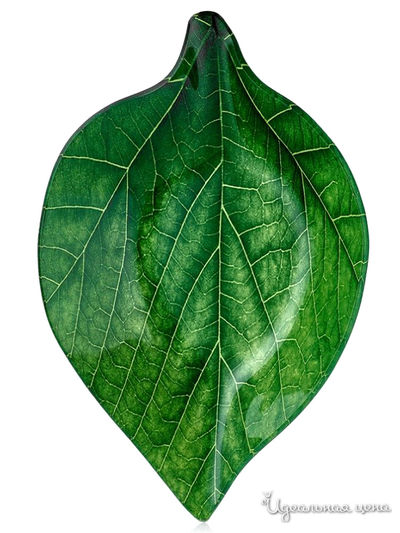 Салатник, 14.5х22.6х3.4 см Walmer