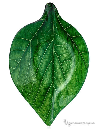 Салатник, 17.4x28.6x4 см Walmer