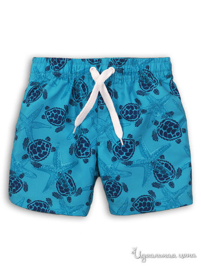 Плавки Minoti, цвет голубой