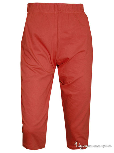 Бриджи N.O.A., цвет бордовый