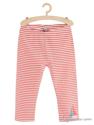 Леггинсы 5.10.15, цвет красный