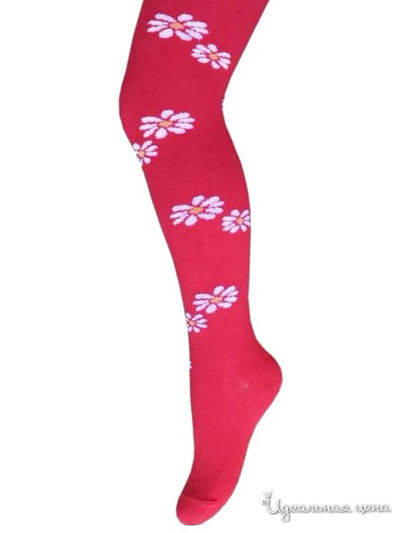 Колготки БЧК, цвет бордовый