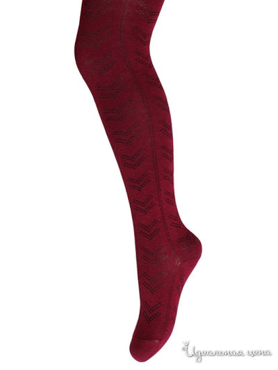 Колготки БЧК, цвет темно-бордовый