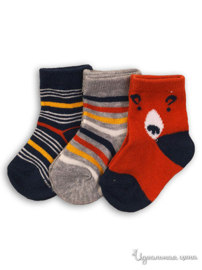 Носки, 3 пары Minoti, цвет мультиколор