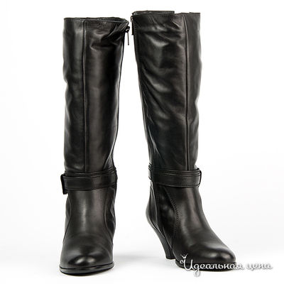 Сапоги Miss Mara, цвет цвет черный