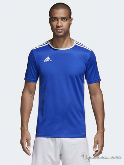 Футболка Adidas, цвет синий