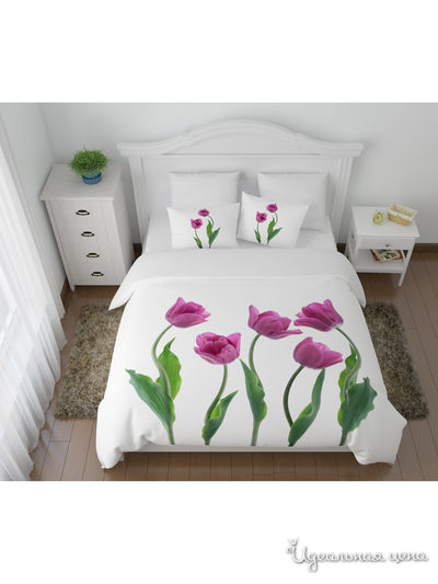 Комплект постельного белья односторонний, 2-спальный Сирень, цвет мультиколор