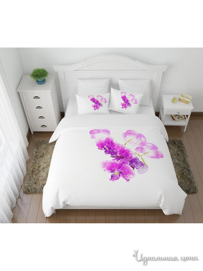 Комплект постельного белья односторонний, Евро Сирень, цвет мультиколор