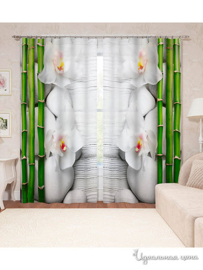 Фотошторы "Бамбук на камнях", 145*260 см, 2 шт. Сирень, цвет мультиколор