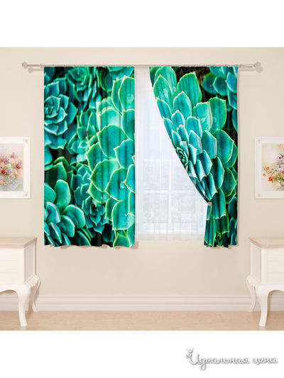 Фотошторы "Голубые суккуленты", 145*160 см, 2 шт Сирень, цвет мультиколор