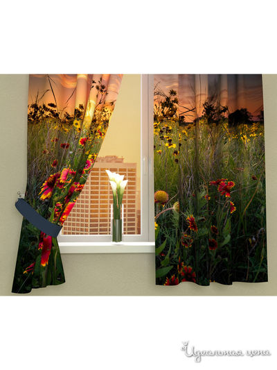 Фотошторы "Поляна в вечерних красках", 145*160 см Сирень, цвет мультиколор