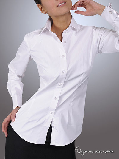 рубашка Alonzo Corrado, цвет цвет