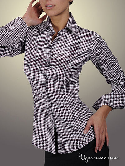 рубашка Alonzo Corrado, цвет цвет