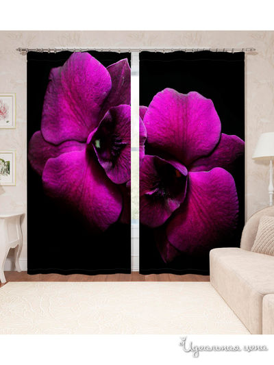 Шторы, 145*260 см, 2 шт. Сирень, цвет мультиколор