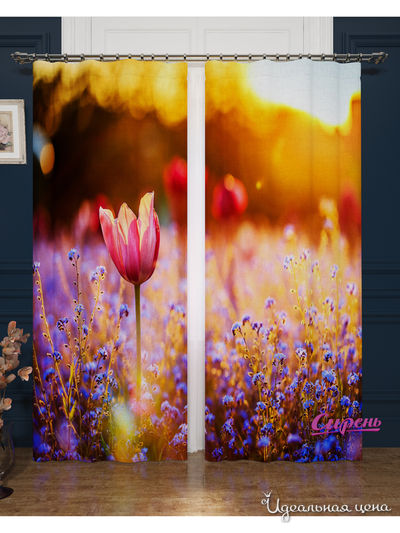Шторы, 145*260 см, 2 шт. Сирень, цвет мультиколор