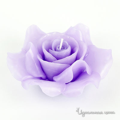 Свеча CASA ANVERSA, цвет цвет фиолетовый