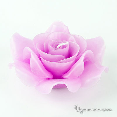 Свеча CASA ANVERSA, цвет цвет сиреневый