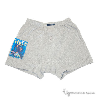 Боксеры Atlantic, цвет цвет серый