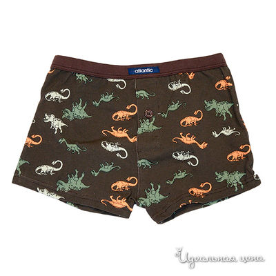 Шорты Atlantic, цвет цвет коричневый