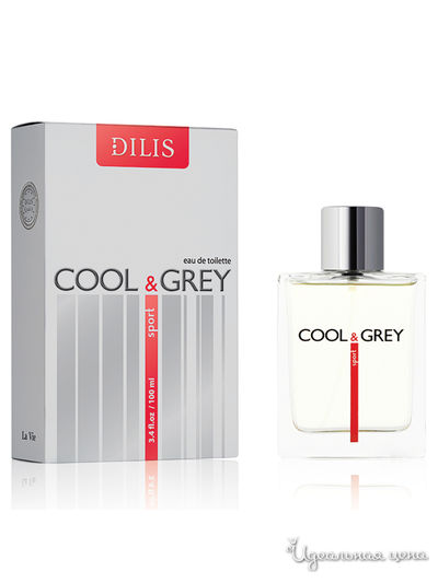 Туалетная вода для мужчин Cool & Grey Sport, 100 мл, Dilis, цвет Мультиколор