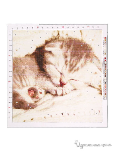 Канва для вышивания с рисунком "Котенок", 41х41 см Арт Узор