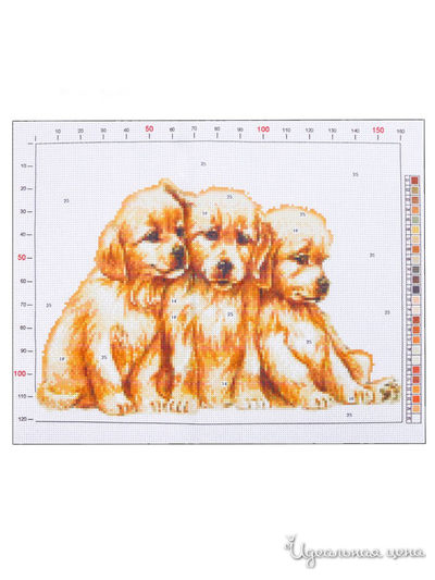 Канва для вышивания с рисунком «Щенки», 28 х 37 см Арт Узор
