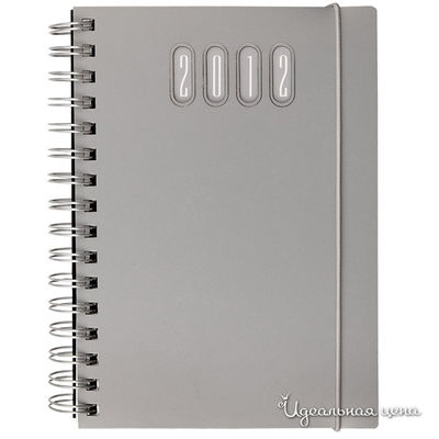 Ежедневник Nazarenogabrielli, цвет цвет серебряный