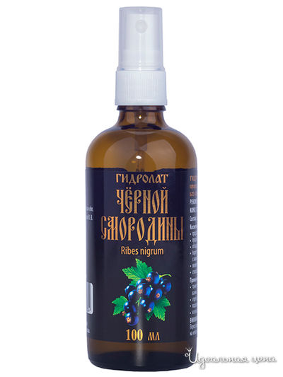 Гидролат чёрной смородины, 100 мл, АРОМА ВЯТКА