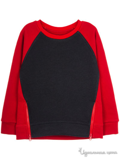 Толстовка Kuza, цвет красный, синий