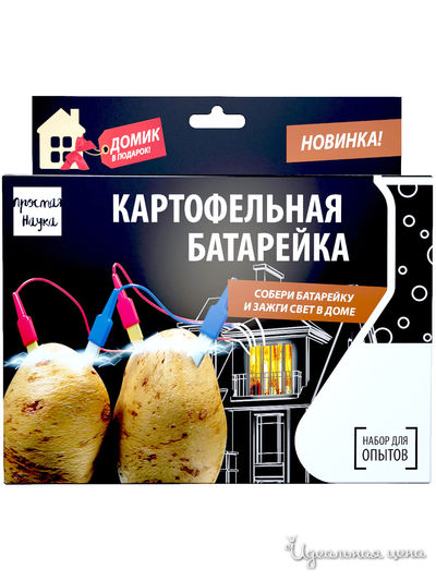 Опыт Картофельная Батарейка Простая Наука