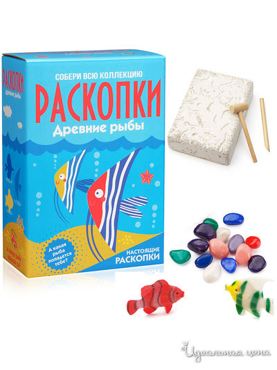 Раскопки Древние Рыбы Раскопки