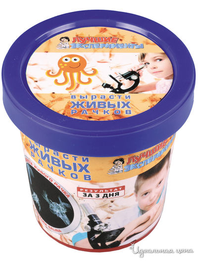 Вырасти живого рачка, ведёрко СуперПрофессор